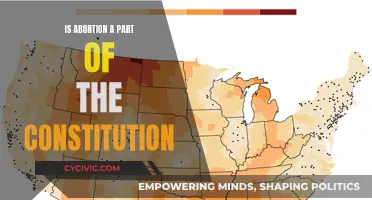 Abortion and the Constitution: What's the Legal Status?