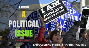 Abortion: A Divisive Political Battleground or Personal Choice?