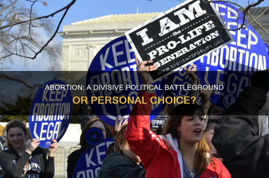 is abortion a political issue