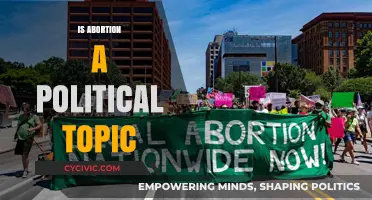 Abortion and Politics: Unraveling the Complex Intersection of Rights and Policy