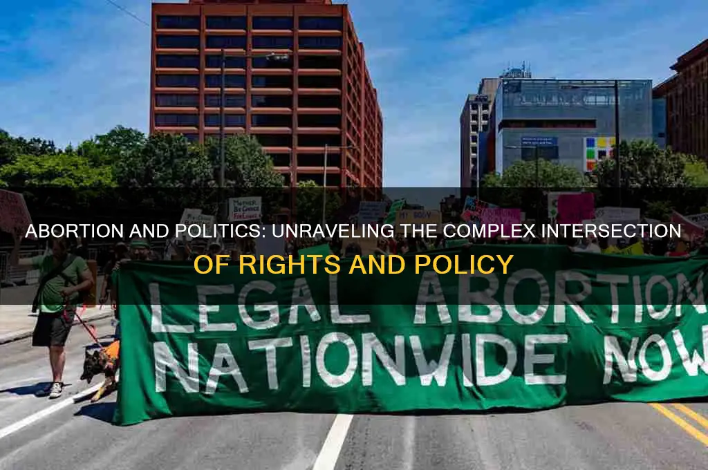 is abortion a political topic