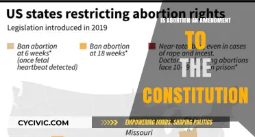 Abortion: A Constitutional Amendment?
