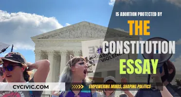 Abortion Rights: Constitutional Protection or Political Football?