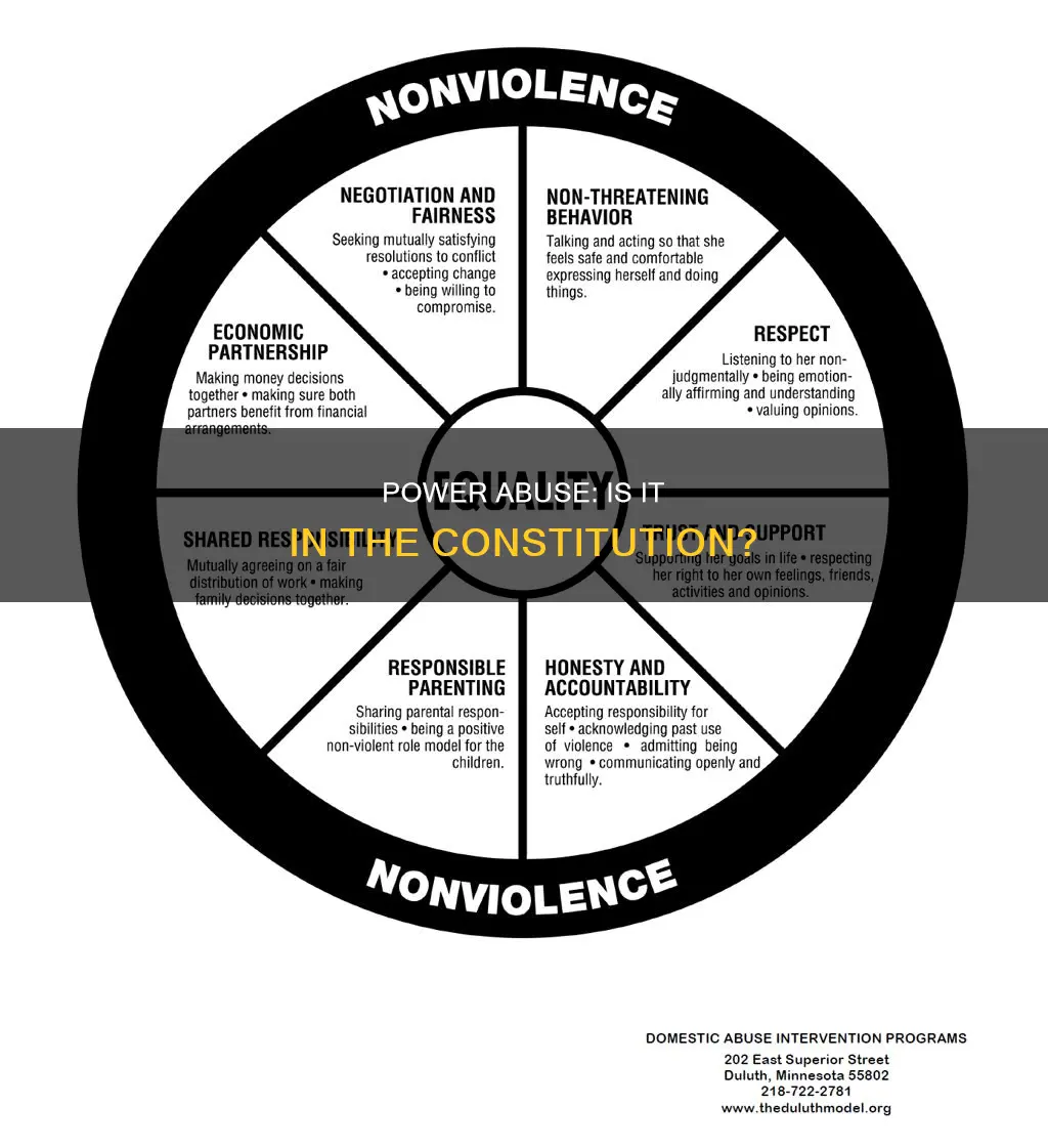 is abuse of power defined in the constitution