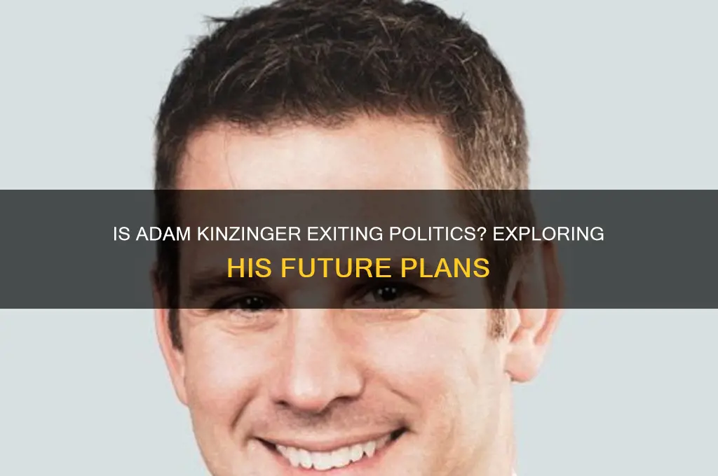 is adam kinzinger leaving politics