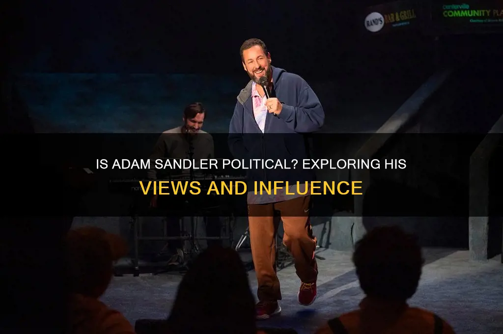 is adam sandler political