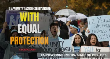 Affirmative Action: Constitutional Equal Protection?