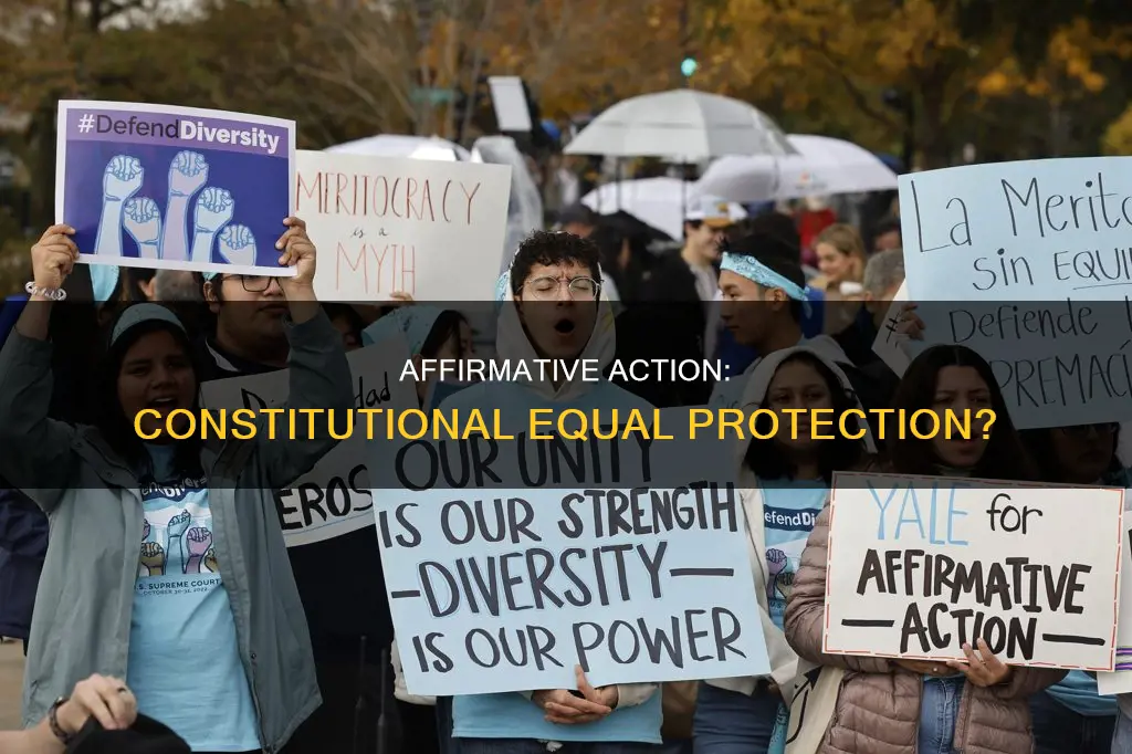 is affirmative action constitutional with equal protection