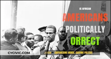 African Americans: Navigating Political Correctness in Modern Society