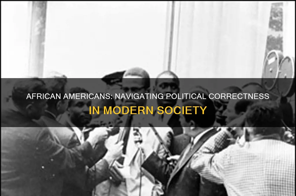 is african americans politically orrect