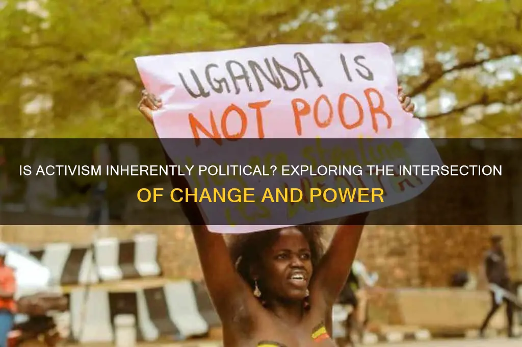 is all activism political