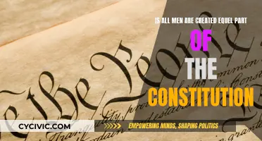 Founding Fathers' Vision: Equality for All Men