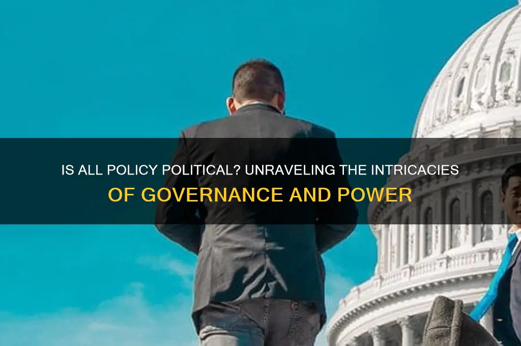 is all policy political