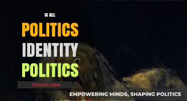 Beyond Labels: Unraveling the Role of Identity in Modern Politics