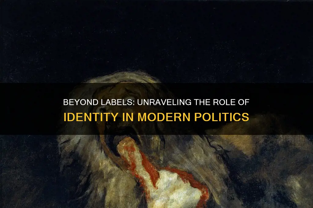 is all politics identity politics