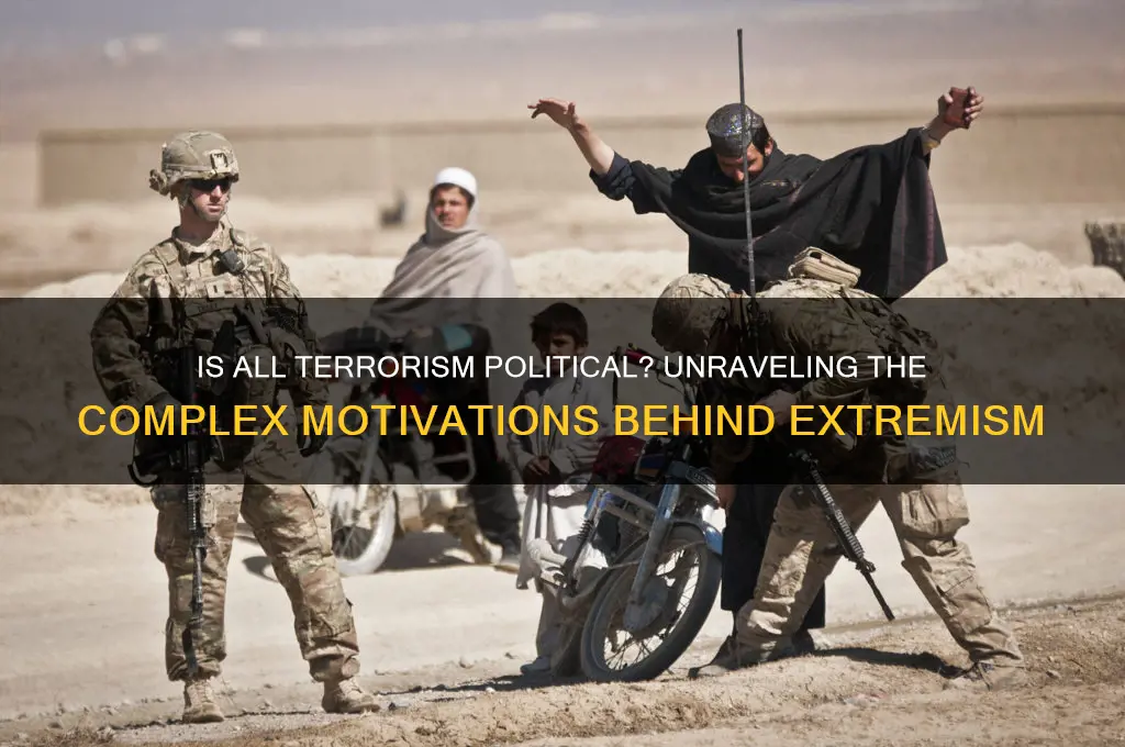 is all terrorism political