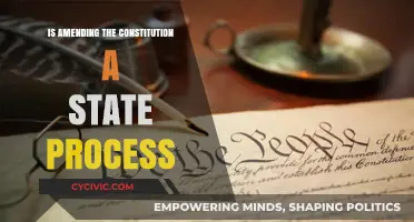 Amending the Constitution: A State-by-State Process