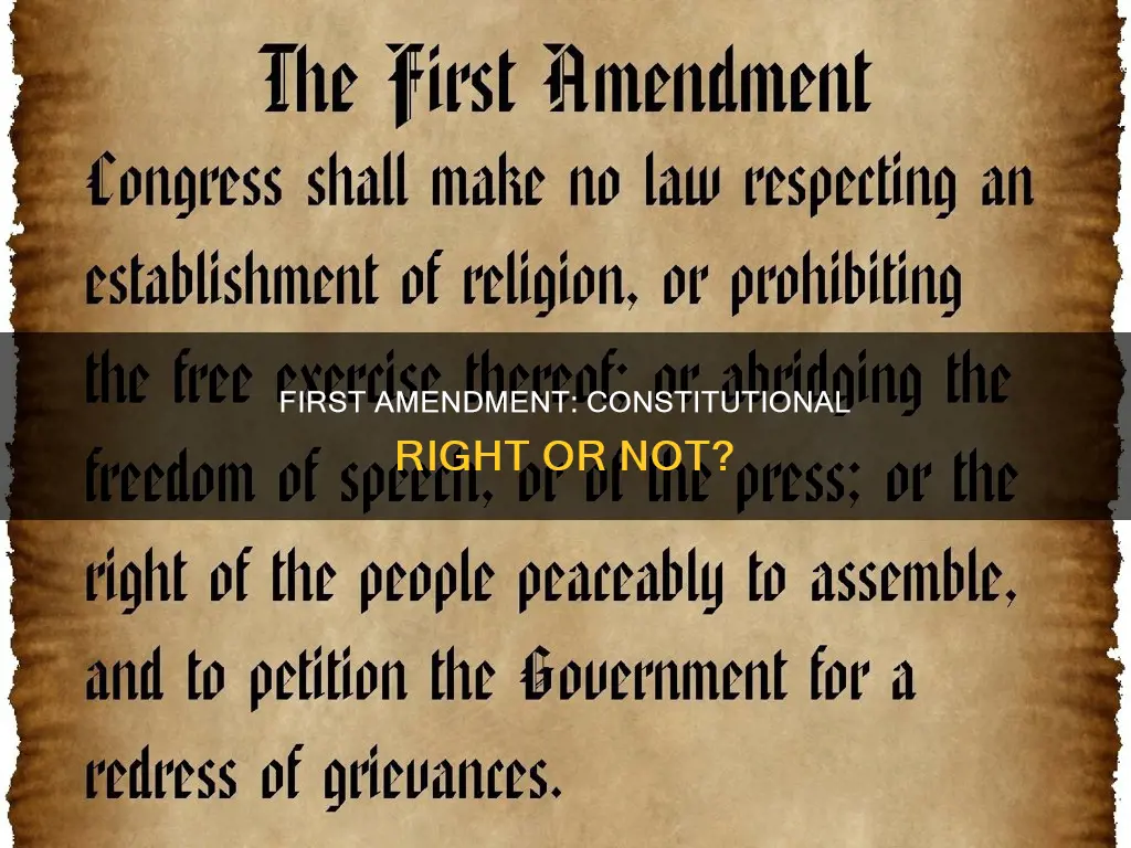 is amendment 1 a constitutional right