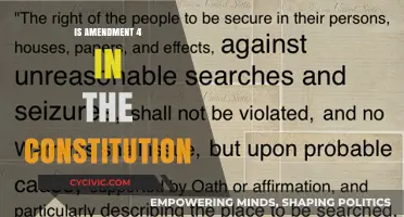 Fourth Amendment: Constitutional Privacy Rights