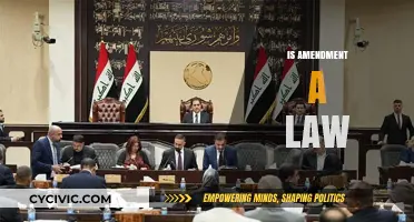 Amendments: Understanding Their Legal Status