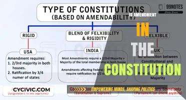 Amending the Constitution: A Necessary Evolution