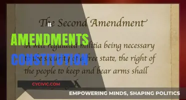 Amendments: The Constitution's Evolution
