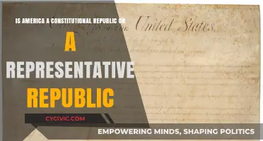 America's Government: Constitutional or Representative Republic?