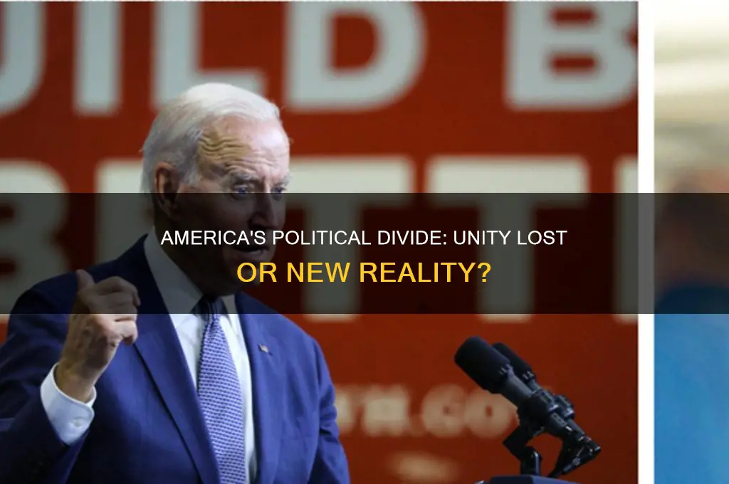 is america divided politically