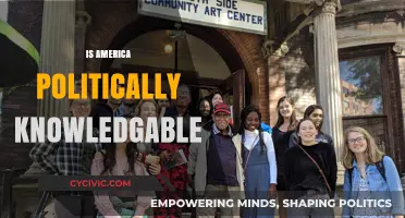 Is America Politically Savvy? Examining Civic Knowledge and Engagement