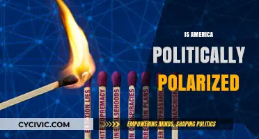 Is America Politically Polarized? Examining the Deepening Divide in U.S. Politics