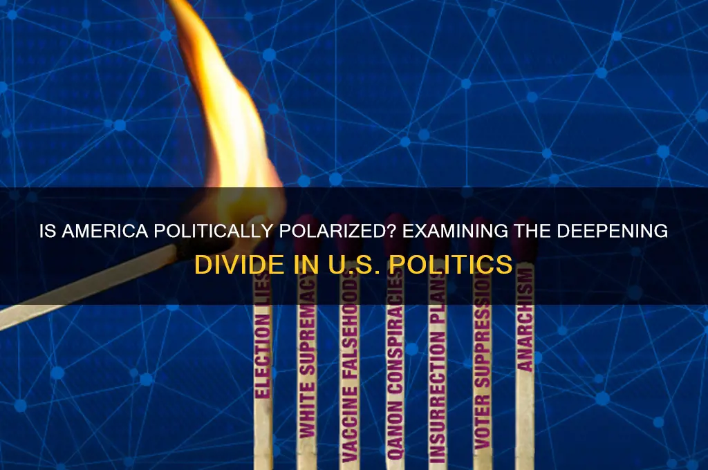 is america politically polarized