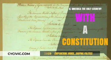 The US Constitution: A Global Perspective