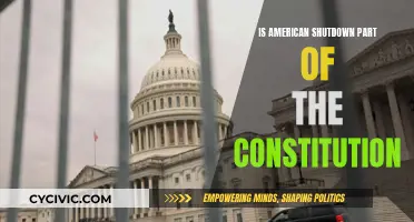 American Shutdown: Constitutional or Not?