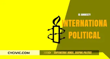 Is Amnesty International Political? Uncovering the Organization's Role and Influence
