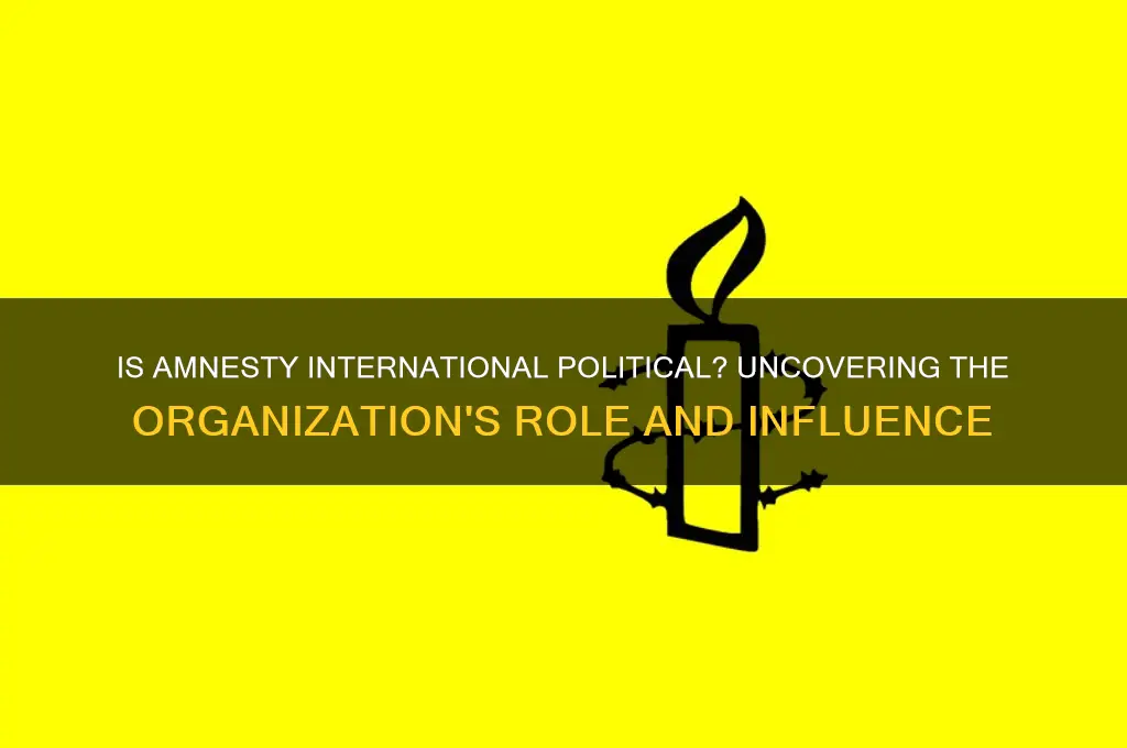 is amnesty international political