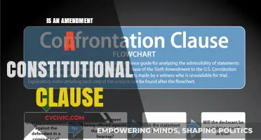 Amendments: Constitutional Clauses or Something Different?