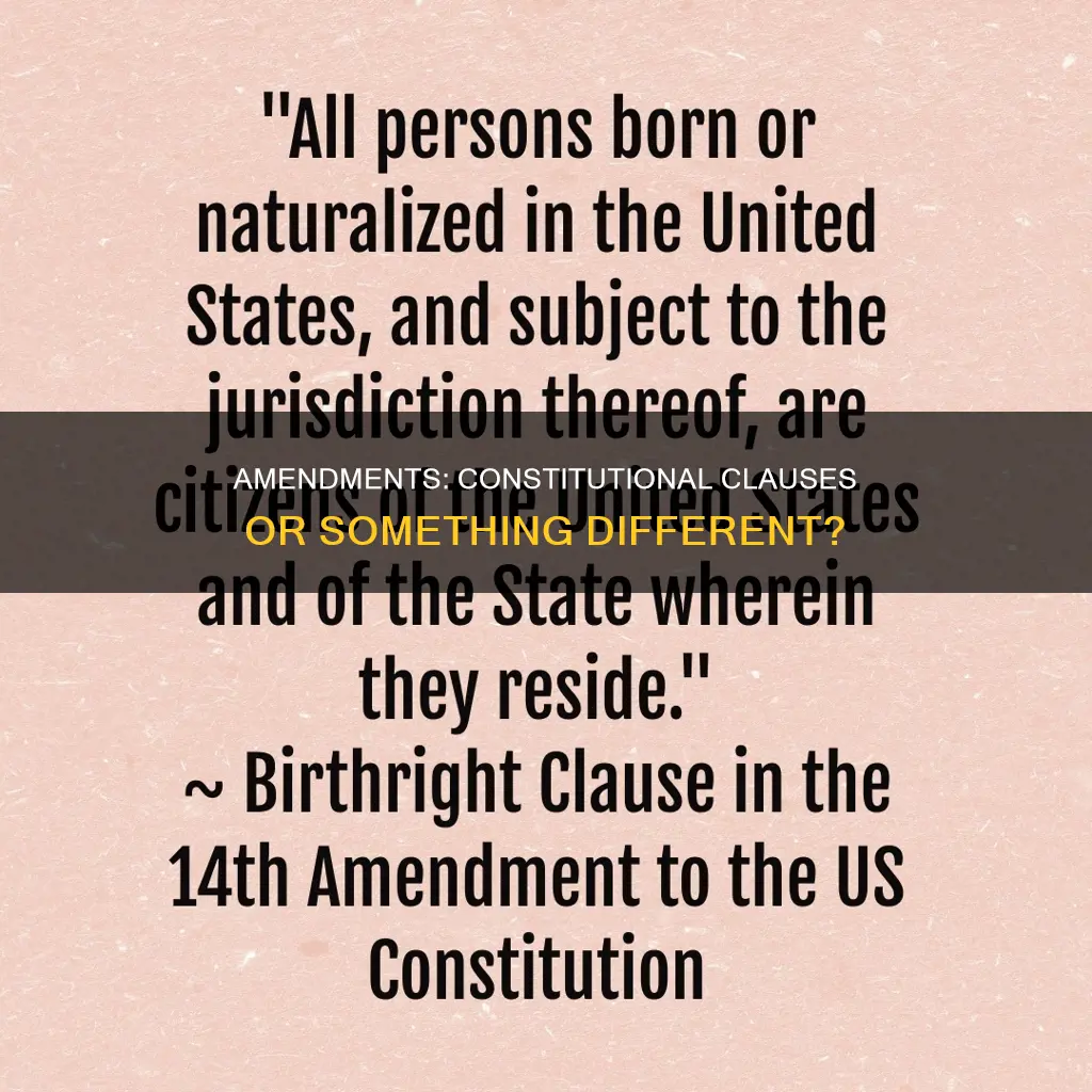 is an amendment a constitutional clause