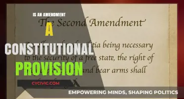 Amendments: Constitutional Provisions or Not?