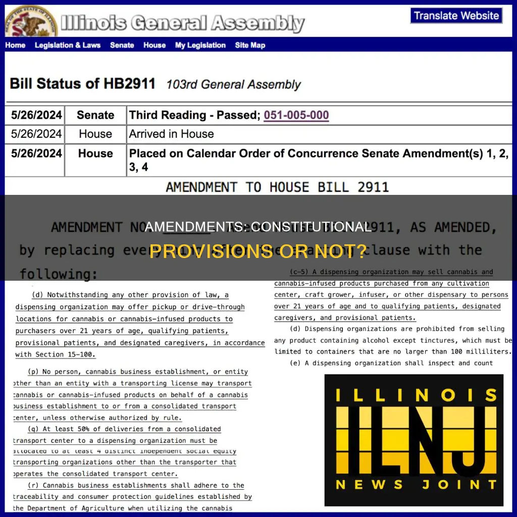 is an amendment a constitutional provision