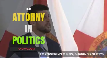 Attorneys in Politics: Shaping Policies or Pursuing Power?