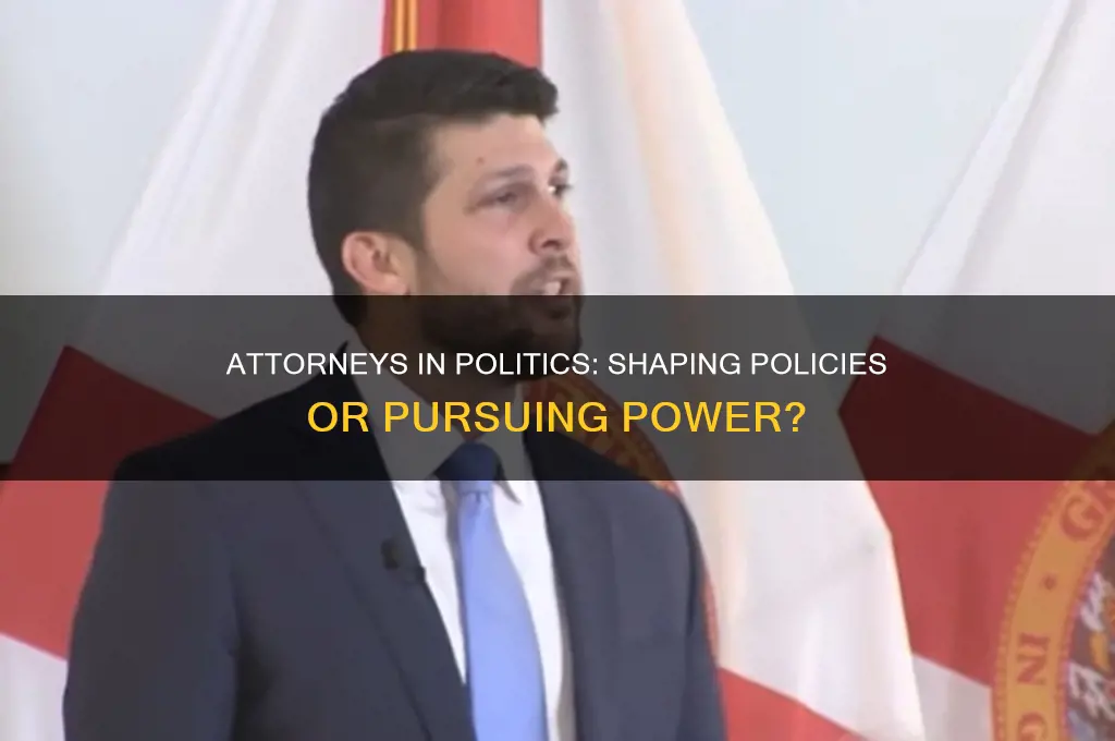 is an attorny in politics