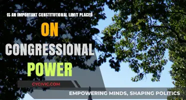 The Constitution: Limiting Congressional Power