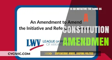 Understanding Initiatives and Constitutional Amendments