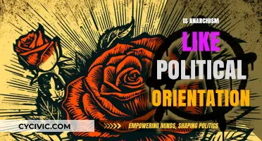 Is Anarchism a Political Orientation? Exploring Its Ideological Framework