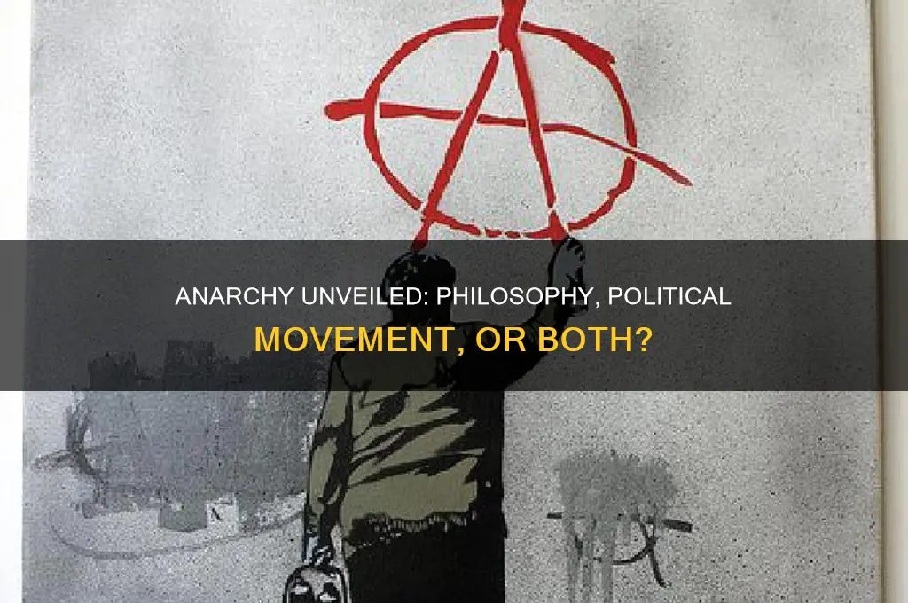 is anarchy a philosophy or political party