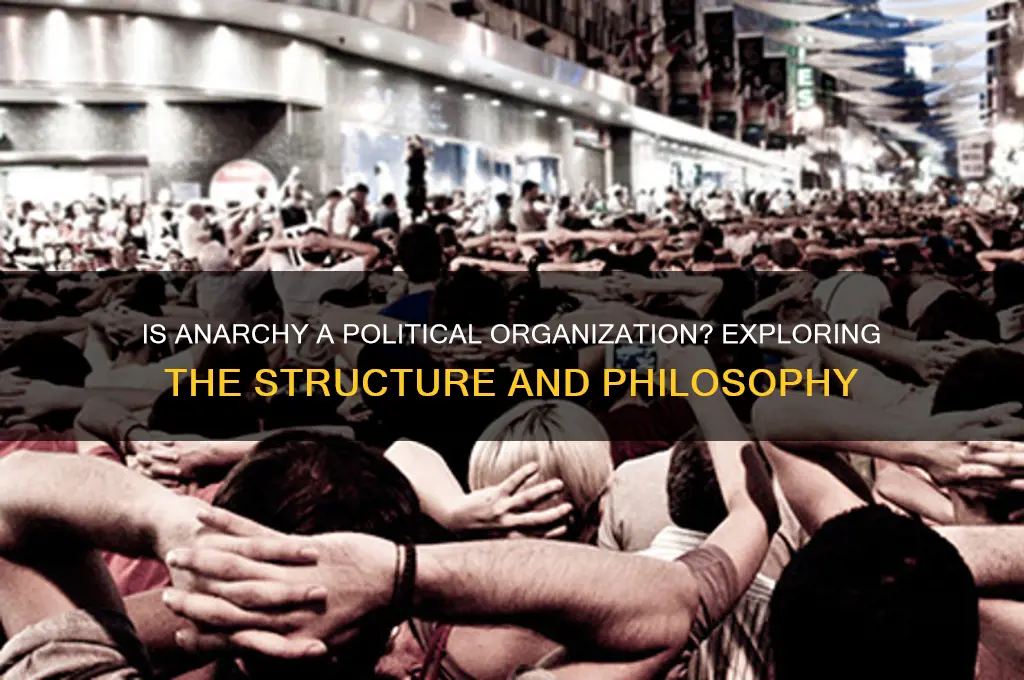 is anarchy a political organization