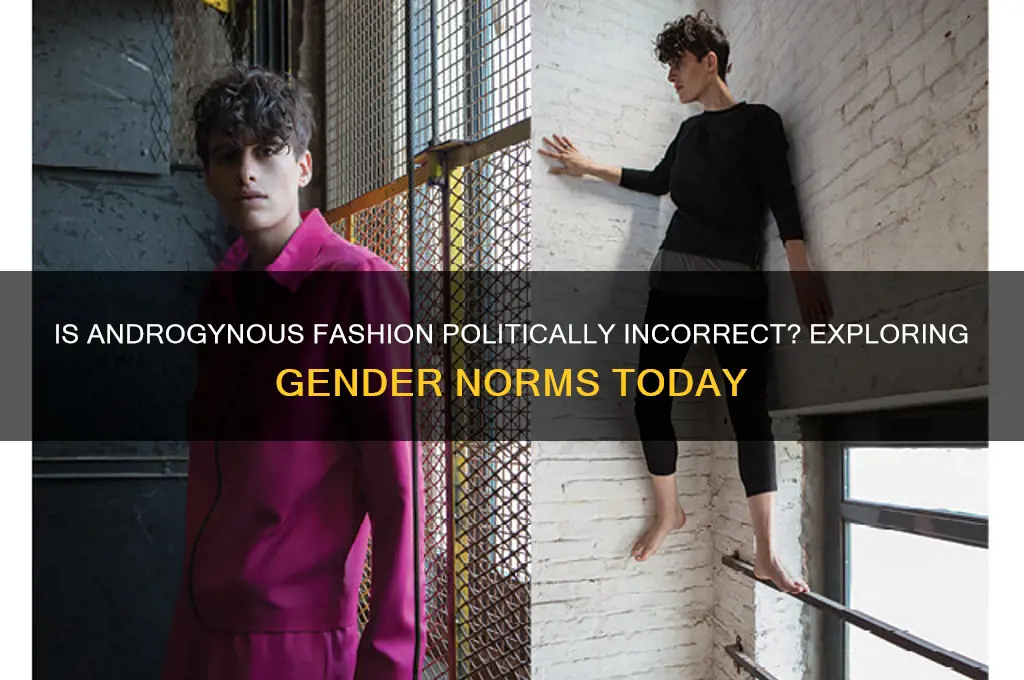 is androgynous politically incorrect