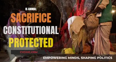 Animal Sacrifice: Religious Freedom or Constitutional Challenge?