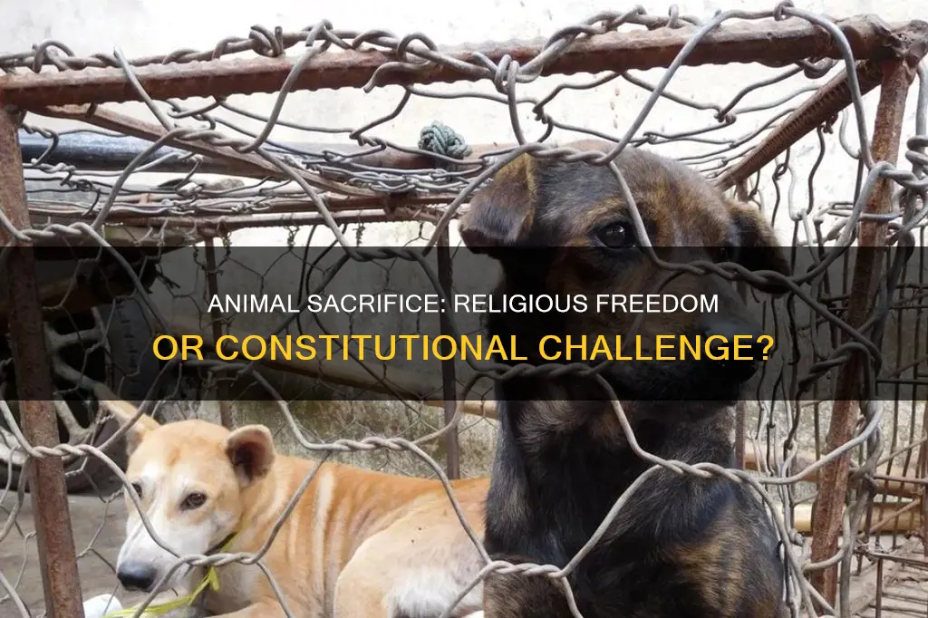 is animal sacrifice constitutionally protected