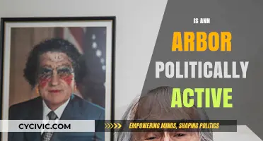 Ann Arbor's Political Pulse: Activism, Engagement, and Civic Life Explored